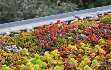 the cost of Trethowel green roof installation